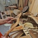 소통하는 나무 이미지