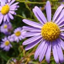 단양-단양-05 이미지