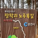 노루목길2 네이버블로그