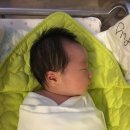 이태열 | &lt;속싸개 비교&gt; 일반vs스와들업vs에르고파우치vs유트러스