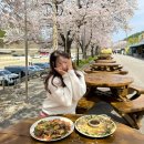 호남상회 | 울진 벚꽃 야장 맛집 추천 성류굴 호남식당