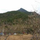 동관농장 이미지