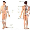 쑥뜸의 혈자리 이미지