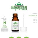 네일모두 이미지