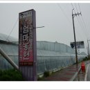 엄마사랑농원 이미지