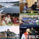 도시어부 이미지