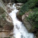일구팔삼 이미지