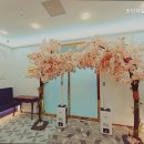 BH대학효요양병원 | 화성요양원 동탄재활요양원 최우수 전문 케어