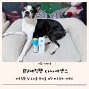 다나펫 이미지