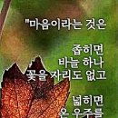 미나리 이미지