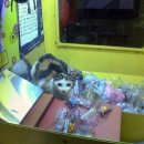 강아지집 이미지