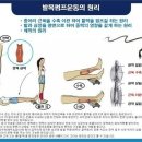 '발목펌프운동'의 원리와 효능 이미지