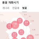 개화 이미지