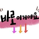 견생스타일 이미지