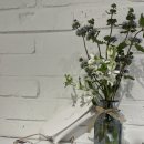 라온안경원 이미지