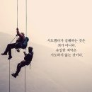 인셀덤 대구 이미지