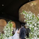 원사이언스 | 부산 결혼식 웨딩홀 센텀 사이언스파크 하객 후기