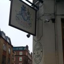 솔 피시 이미지