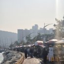 진해루 | 진해 군항제 야장 감성 맛집 진해루 속천항 세모로페스타 솔직 후기 (바다뷰 + 로컬맛집)