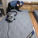 풍기 | 아산 풍기 매트리스 후기(진드기 의심)