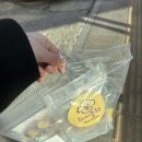 하이뭉하 이미지