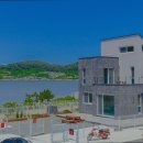 가덕 코이 이미지