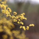 놀자꾸나 이미지