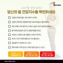 레푸스 다산