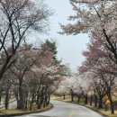카페화 네이버블로그