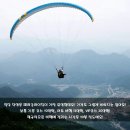 단양패러글라이딩 이미지