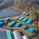 보은4태양광발전소 이미지