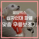 (주)핸더바이오닉스 | 강아지 십자인대파열 절뚝이며 걸을 때 노령견 수술대신 무릎보조기 제작