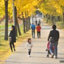 은행목장 이미지