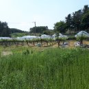 전원락농장 이미지