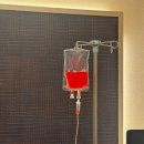 주식회사 셀라이프 | 대치동 피부과 삼성화이트 피부과 자가혈줄기세포 주사 저렴하게 하는 방법!!!!??