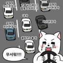 드디어 면허 딴 2n살 아줌마 / 강릉에서 면허따기