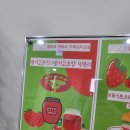 담빛학당