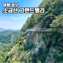 D---6 드디어 오늘부터 Count down 이미지