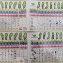 243회 월례회 결과 이미지