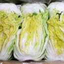 은평-041 이미지