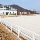 펠리체승마클럽 이미지