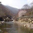 서동민박 이미지