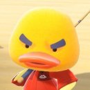 뽑기박스 이미지