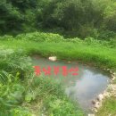 내석농장 이미지