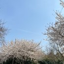 대륜세탁소 이미지