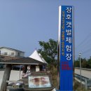 장호어촌체험장