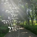 주식회사 해복 네이버블로그