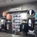 제주생갈치 이미지