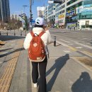 할매더덕오리 | 요즘 일상 기록 (3월,4월)
