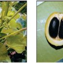 ㈜에코주유소 이미지